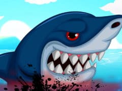 Angry Shark Miami