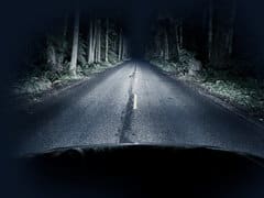 Halloween Scary Jungle Road Drive