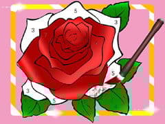 Happy Color