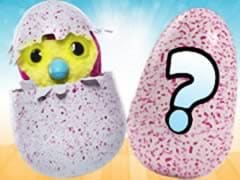 Hatchimal Eggs