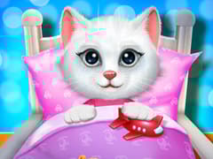 Kitty Bedtime Activities